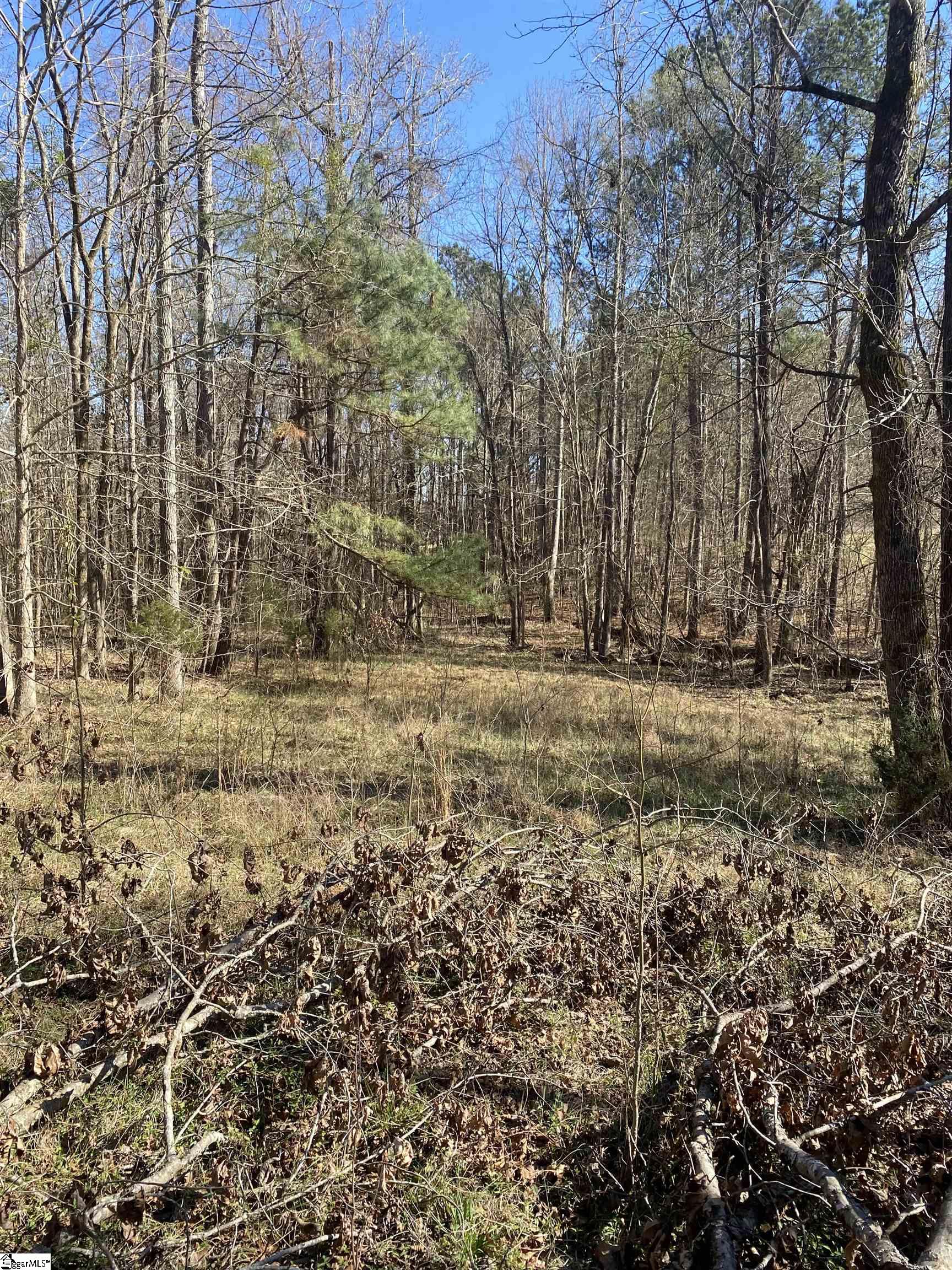 0 Tomachichi Road Cross Hill, SC 29332 - Photo 4 of 12