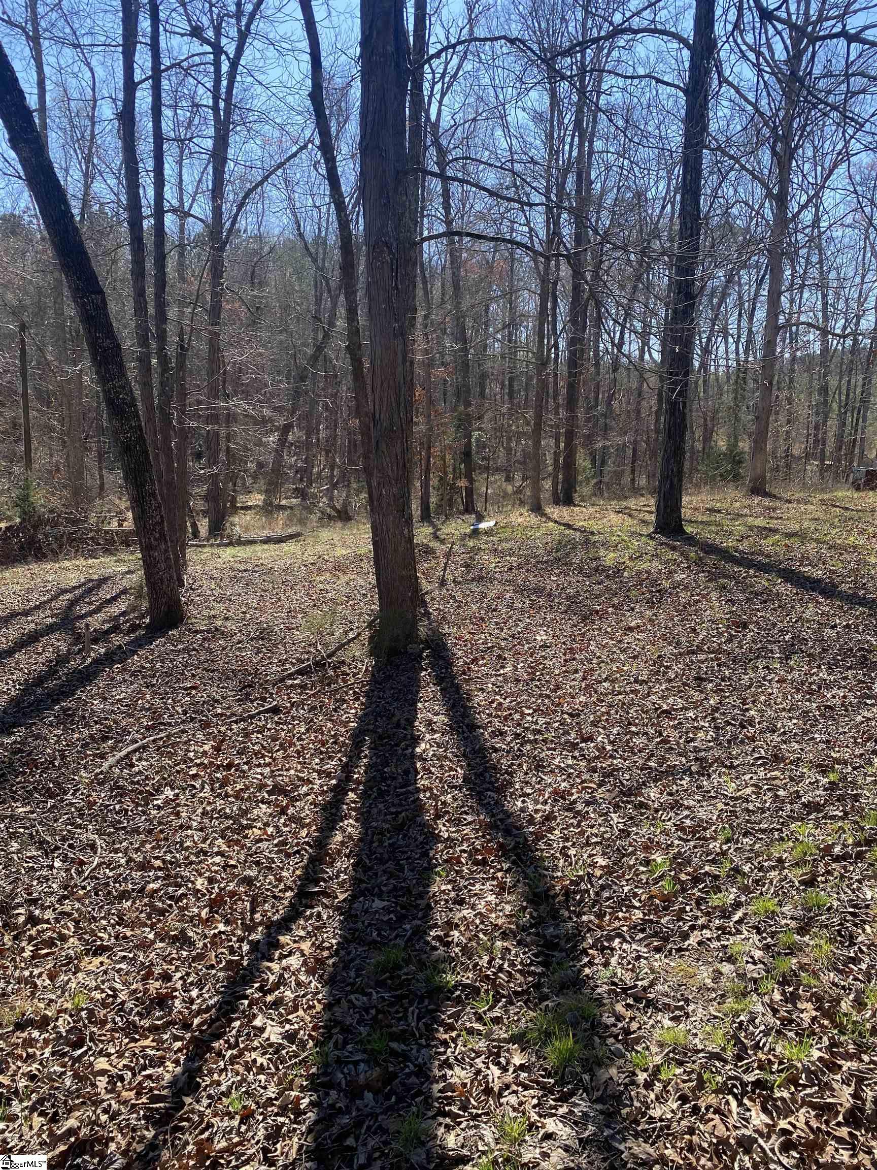 0 Tomachichi Road Cross Hill, SC 29332 - Photo 7 of 12