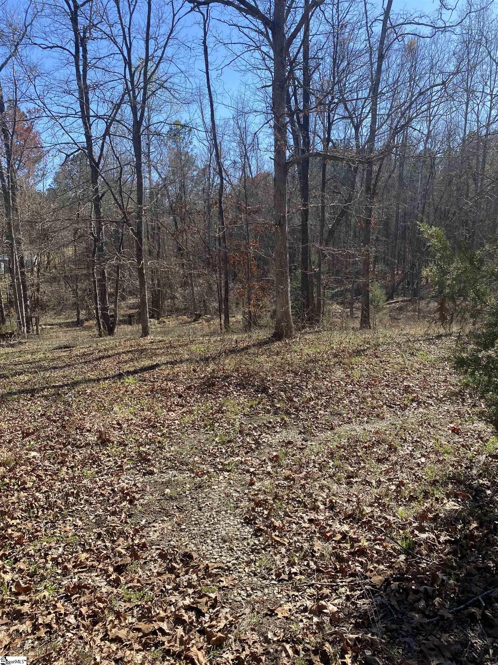 0 Tomachichi Road Cross Hill, SC 29332 - Photo 8 of 12