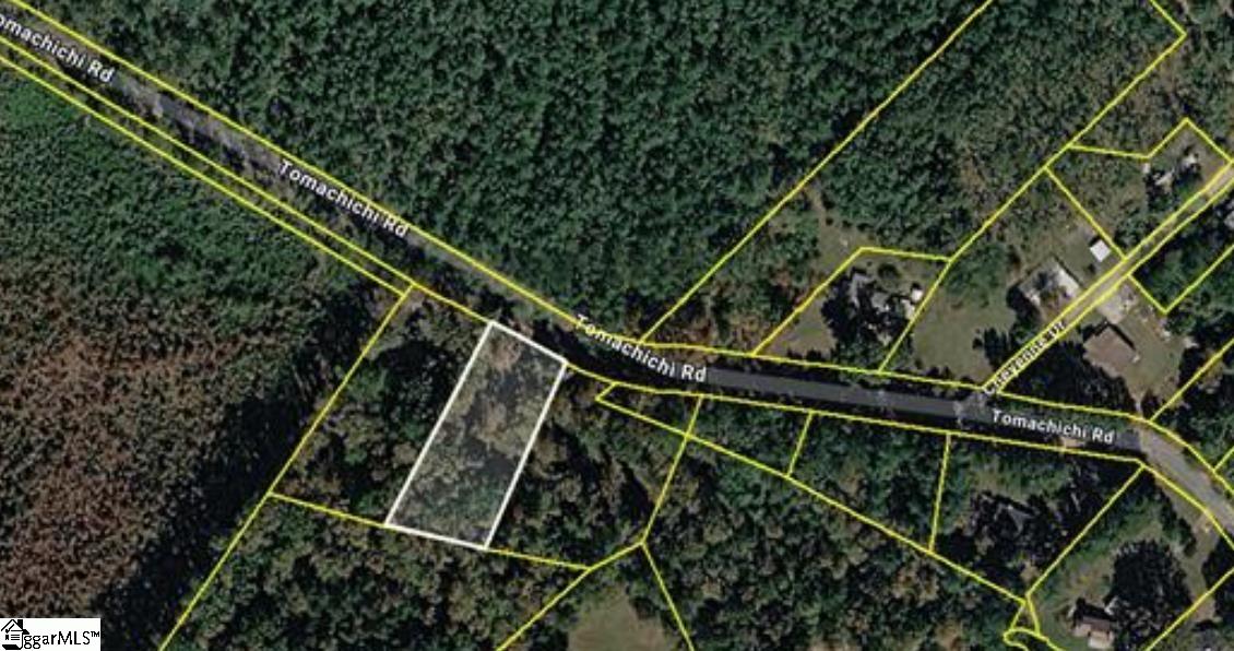 0 Tomachichi Road Cross Hill, SC 29332 - Photo 10 of 12