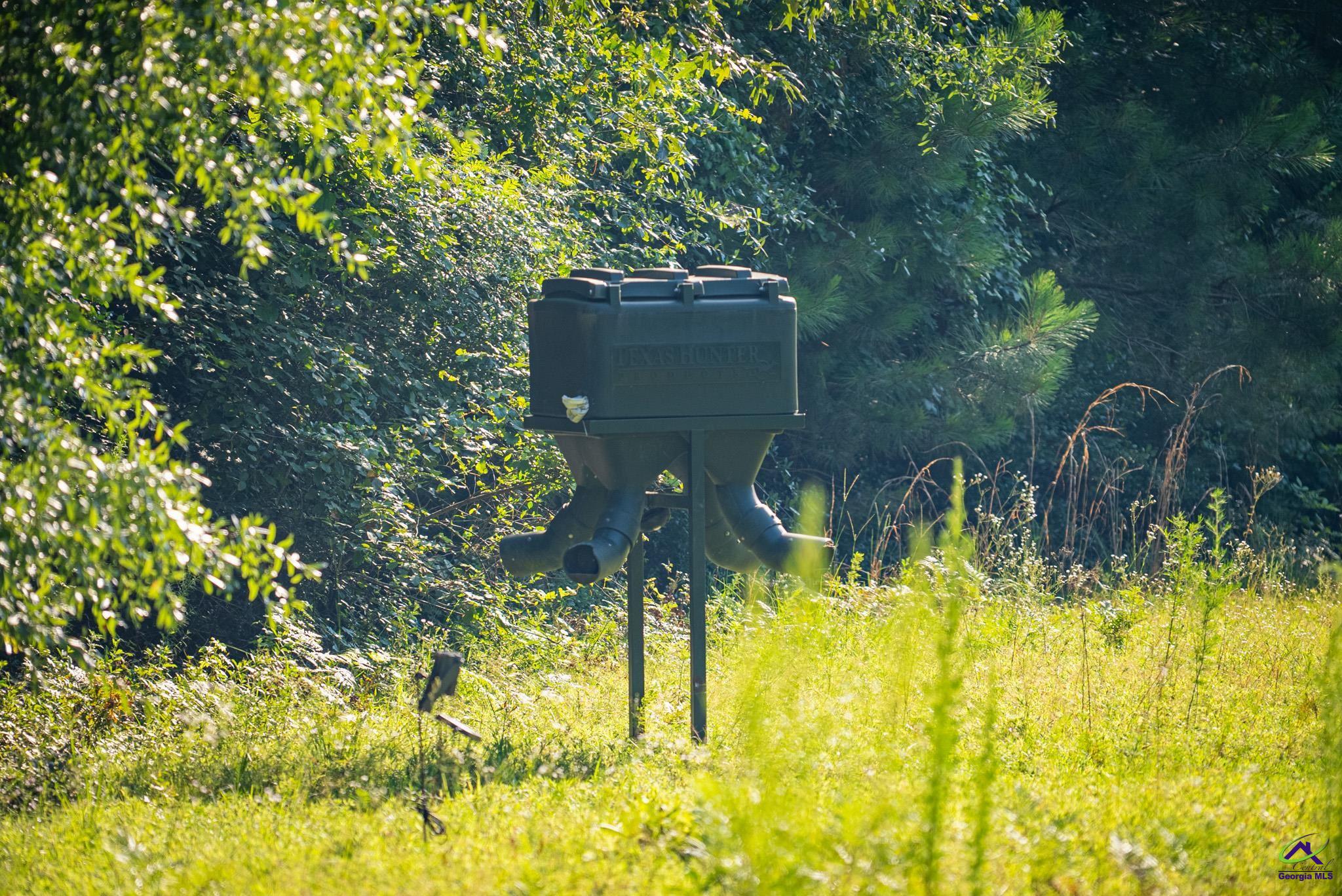 Southland Road Butler, GA 31006 - Photo 62 of 68