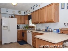 2247 East Eleanor Avenue Springfield, IL 62702 - Photo 4 of 16