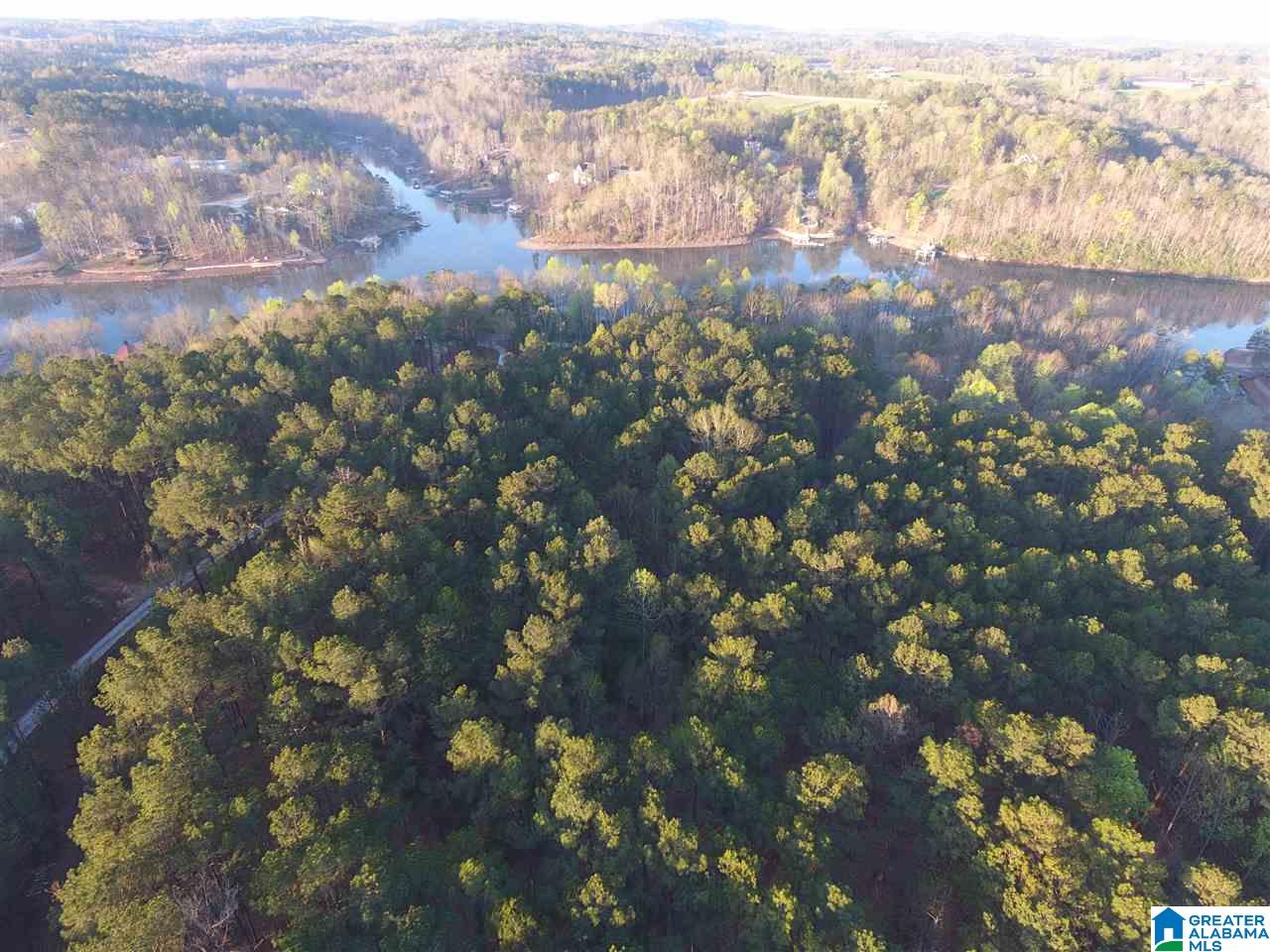 Creek Run Road Wedowee, AL 36278 - Photo 1 of 6