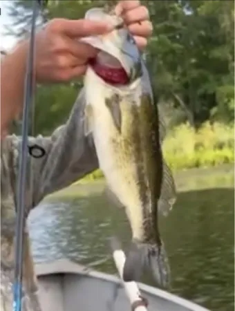 $444,900 | 520 North Campbell Road, Fountain, MI 49410