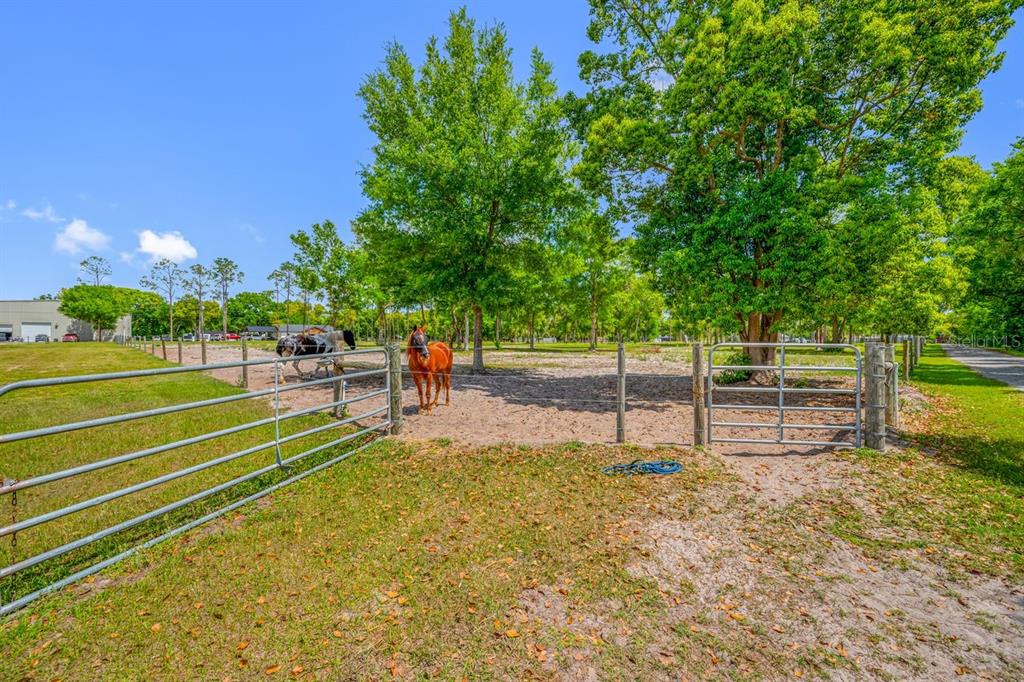 0 Hanna Road Lutz, FL 33549 - Photo 26 of 37