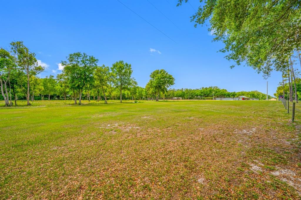 0 Hanna Road Lutz, FL 33549 - Photo 28 of 37