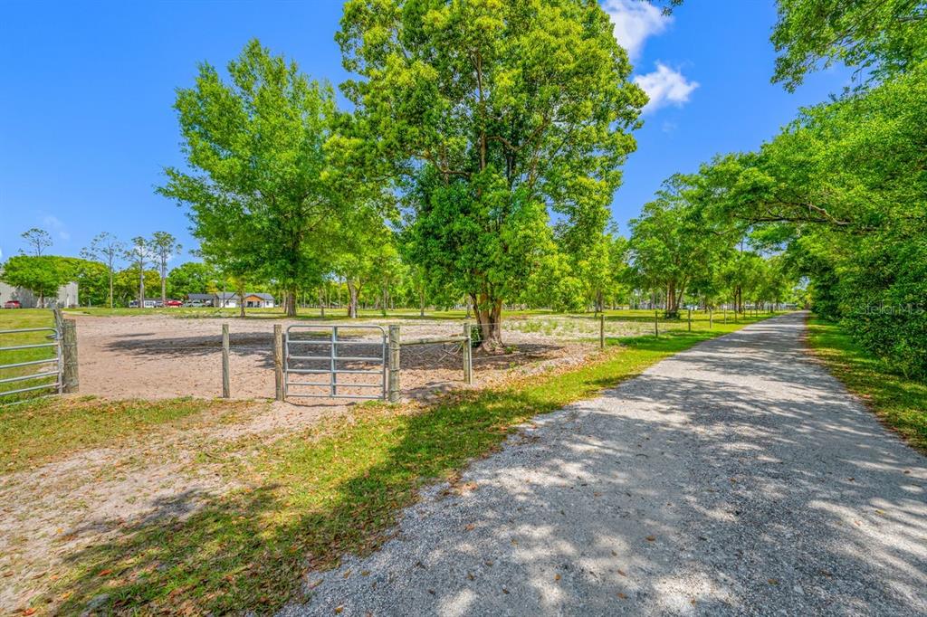 0 Hanna Road Lutz, FL 33549 - Photo 35 of 37