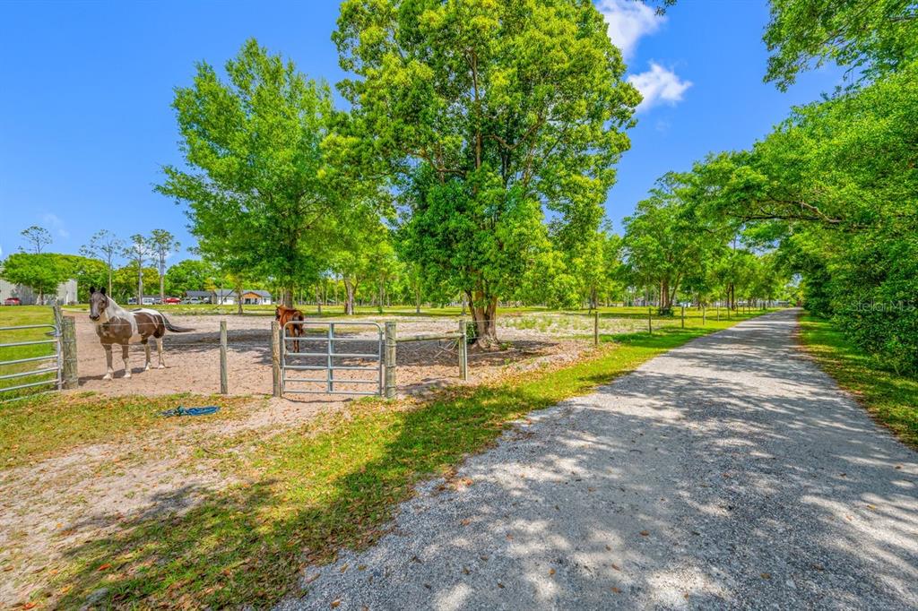 0 Hanna Road Lutz, FL 33549 - Photo 36 of 37