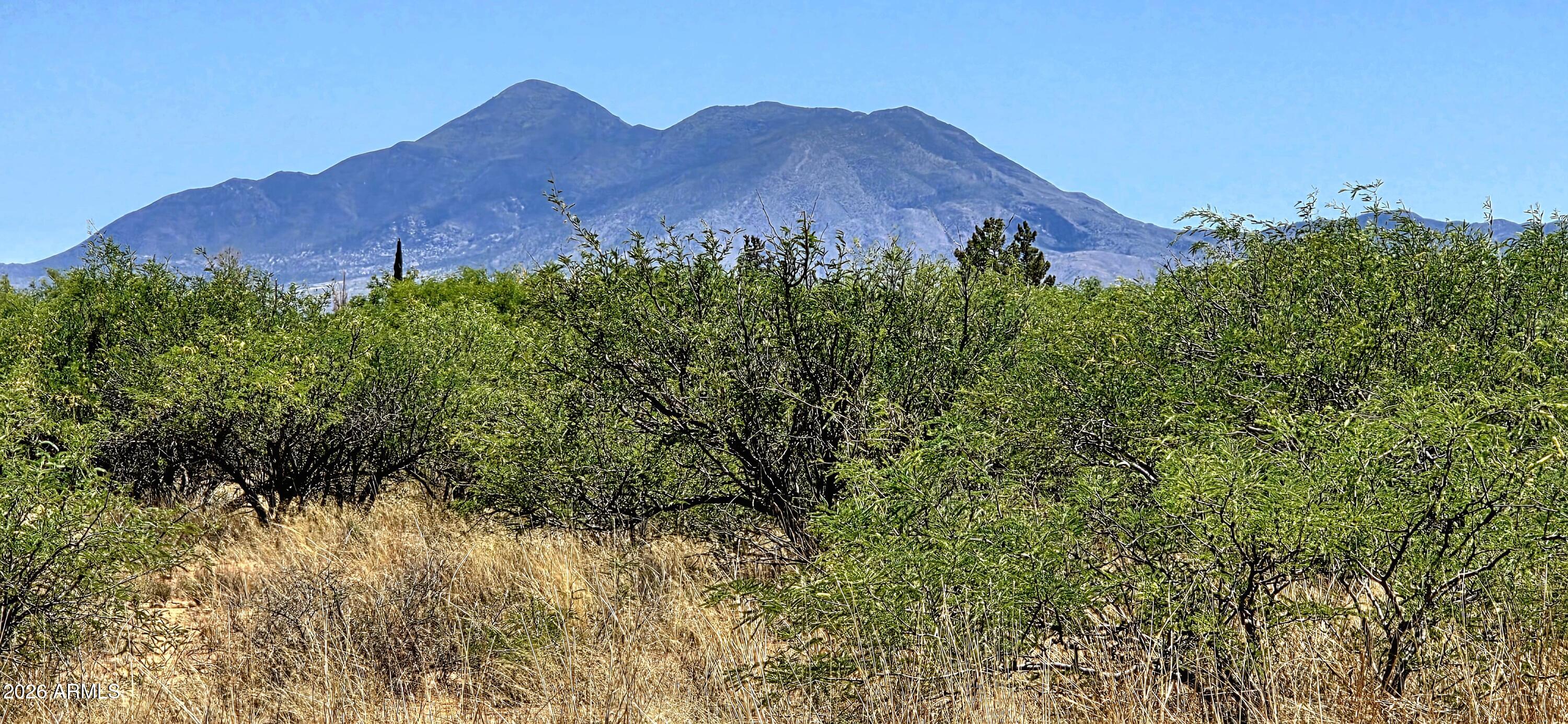 Three East Canyons Road, Unit A Hereford, AZ 85615 - Photo 4 of 6 TBD East Three Canyons Road