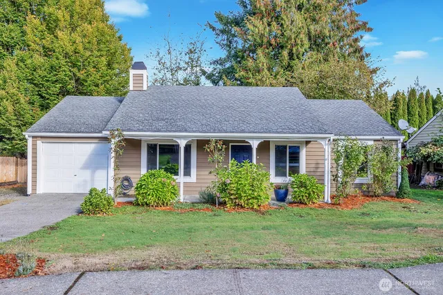 a view of a house with table and chairs potted plants and a large tree