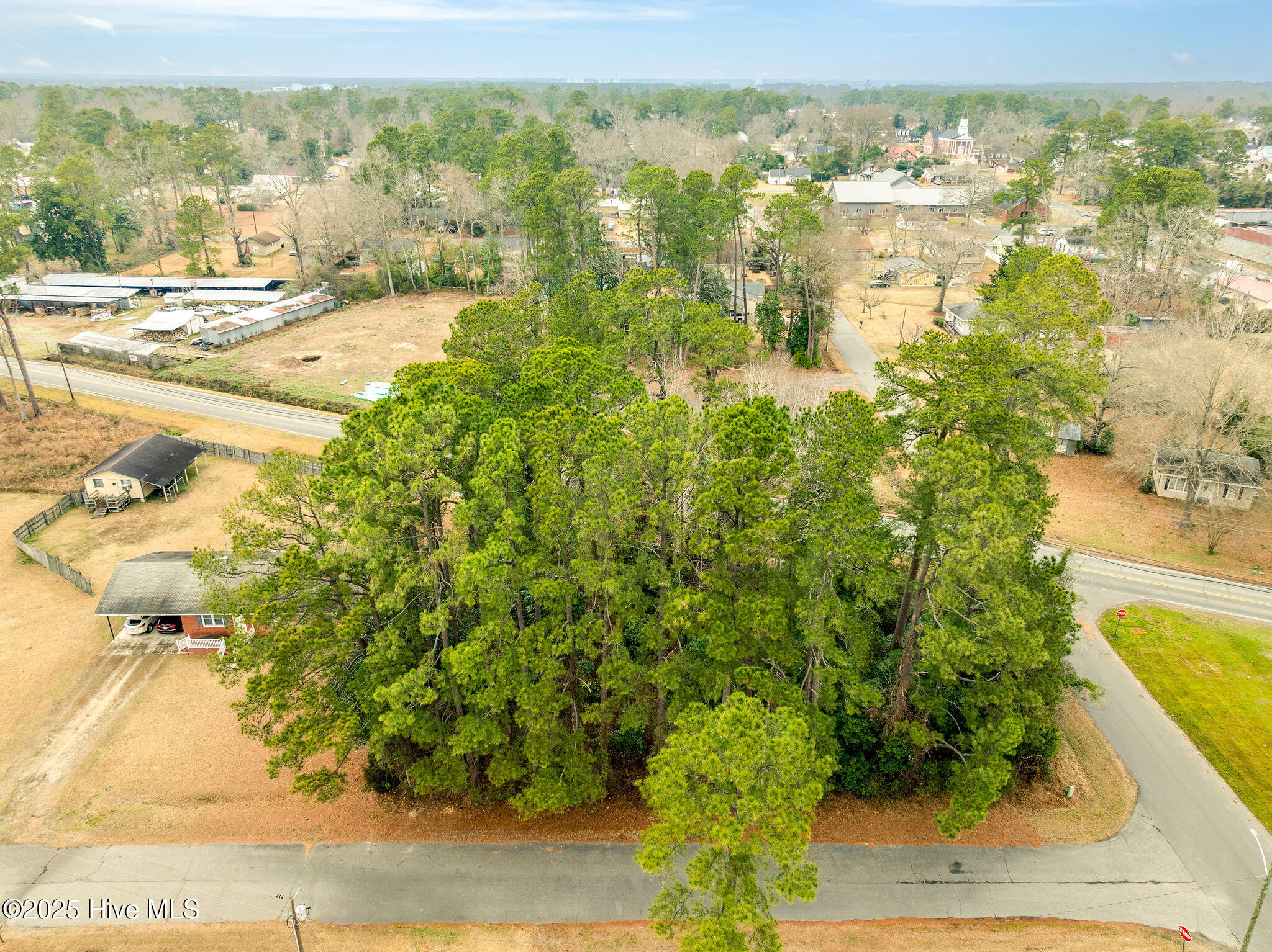 1 West Charity Road Rose Hill, NC 28458 - Photo 2 of 15 rosehilllot2