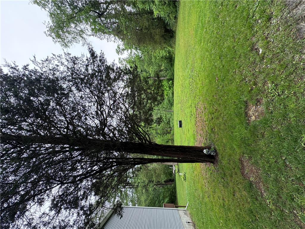 130 Hidden Spur Road Lehighton, PA 18235 - Photo 19 of 19 A spacious backyard with mature trees provides ample green space.