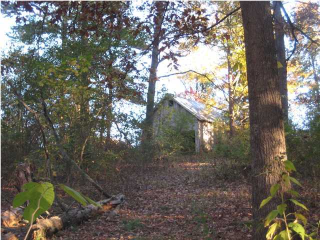 1346 Ketner Cove Road Whitwell, TN 37397 - Photo 12 of 28 Additional Photo