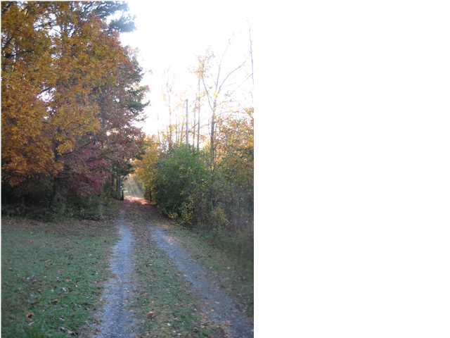 1346 Ketner Cove Road Whitwell, TN 37397 - Photo 15 of 28 Additional Photo