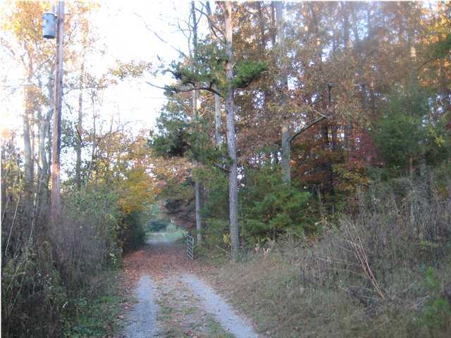1346 Ketner Cove Road Whitwell, TN 37397 - Photo 16 of 28 Additional Photo