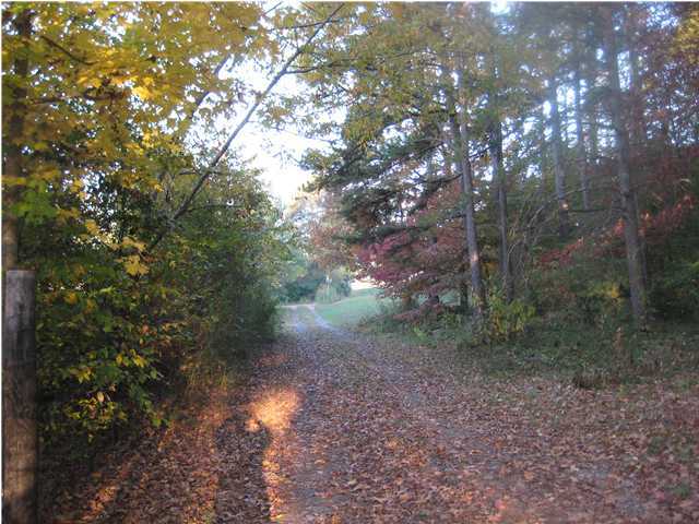 1346 Ketner Cove Road Whitwell, TN 37397 - Photo 17 of 28 Additional Photo