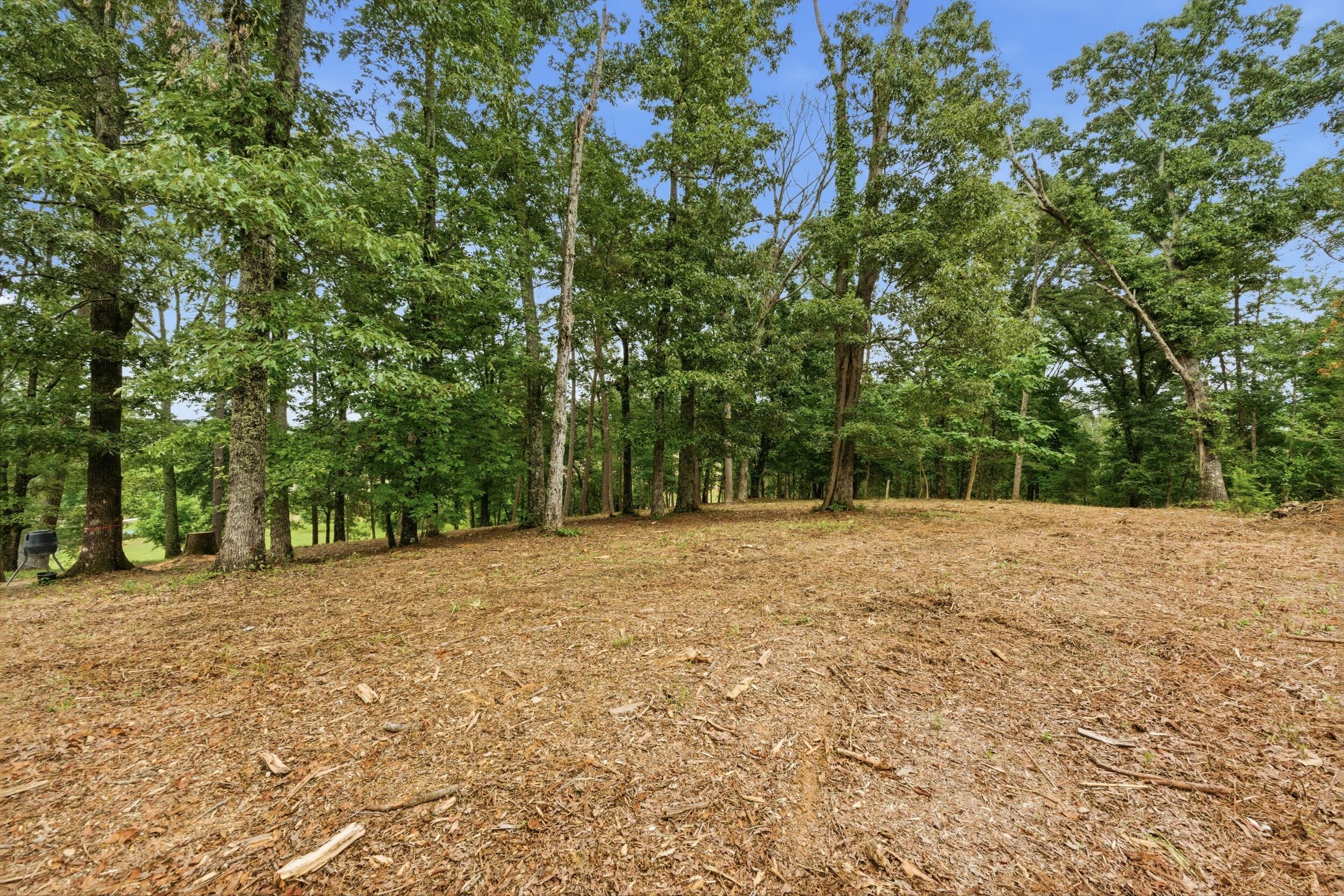9334 Barbee Road Soddy-Daisy, TN 37379 - Photo 24 of 31 dsc03558