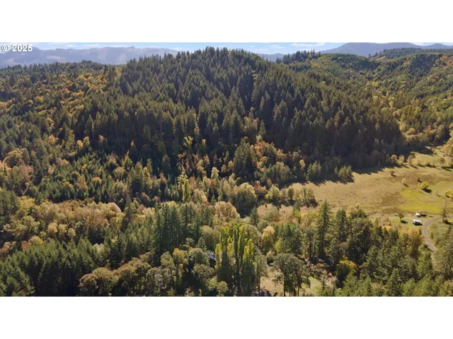 a black and white photo of a house