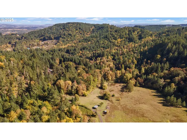 a black and white photo of a lake