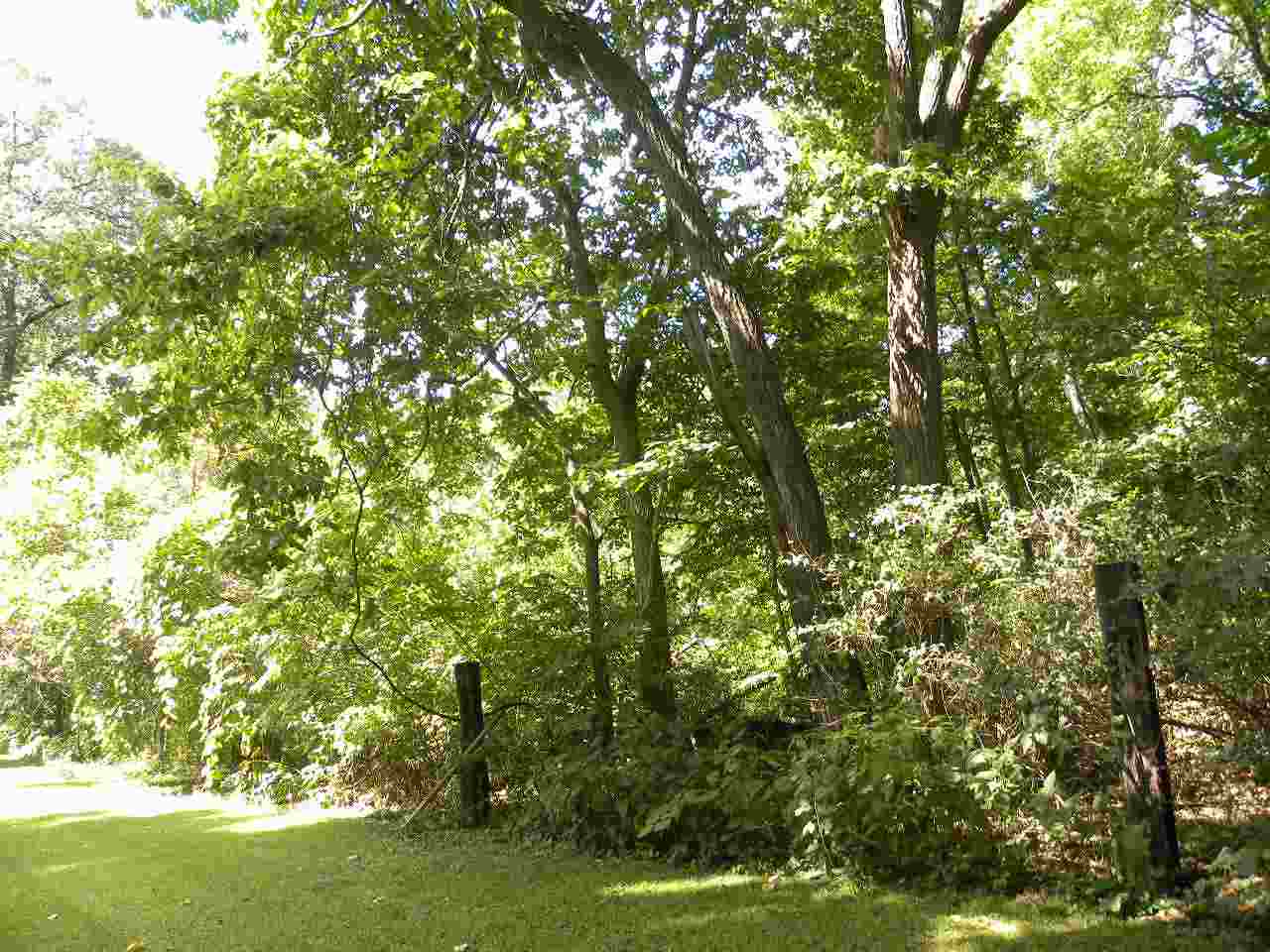 56352 Orchid Road South Bend, IN 46619 - Photo 22 of 32 Gallery Image 22