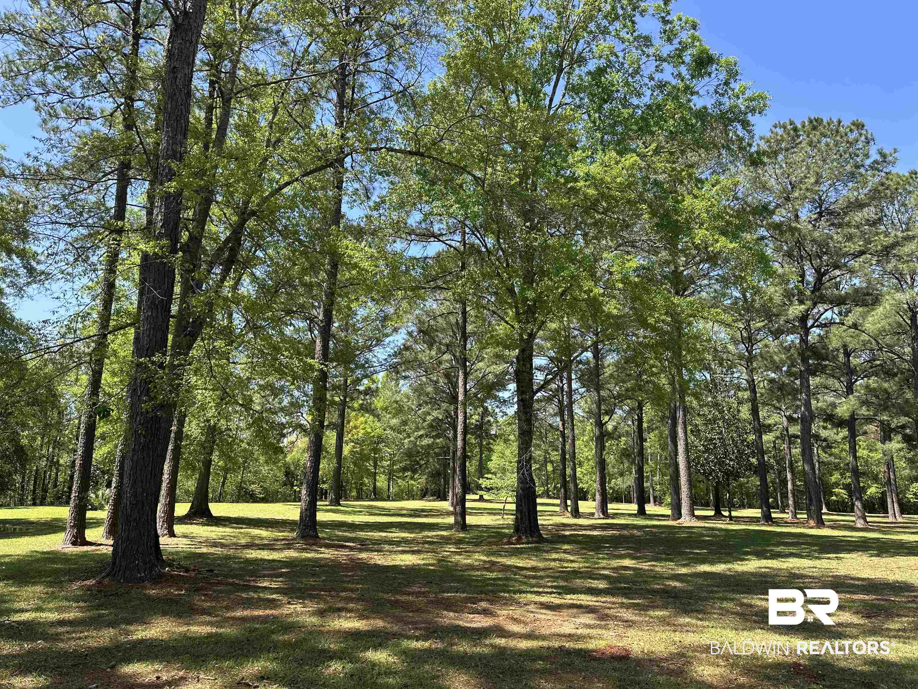 5675 Highway 41 Brewton, AL 36426 - Photo 26 of 34