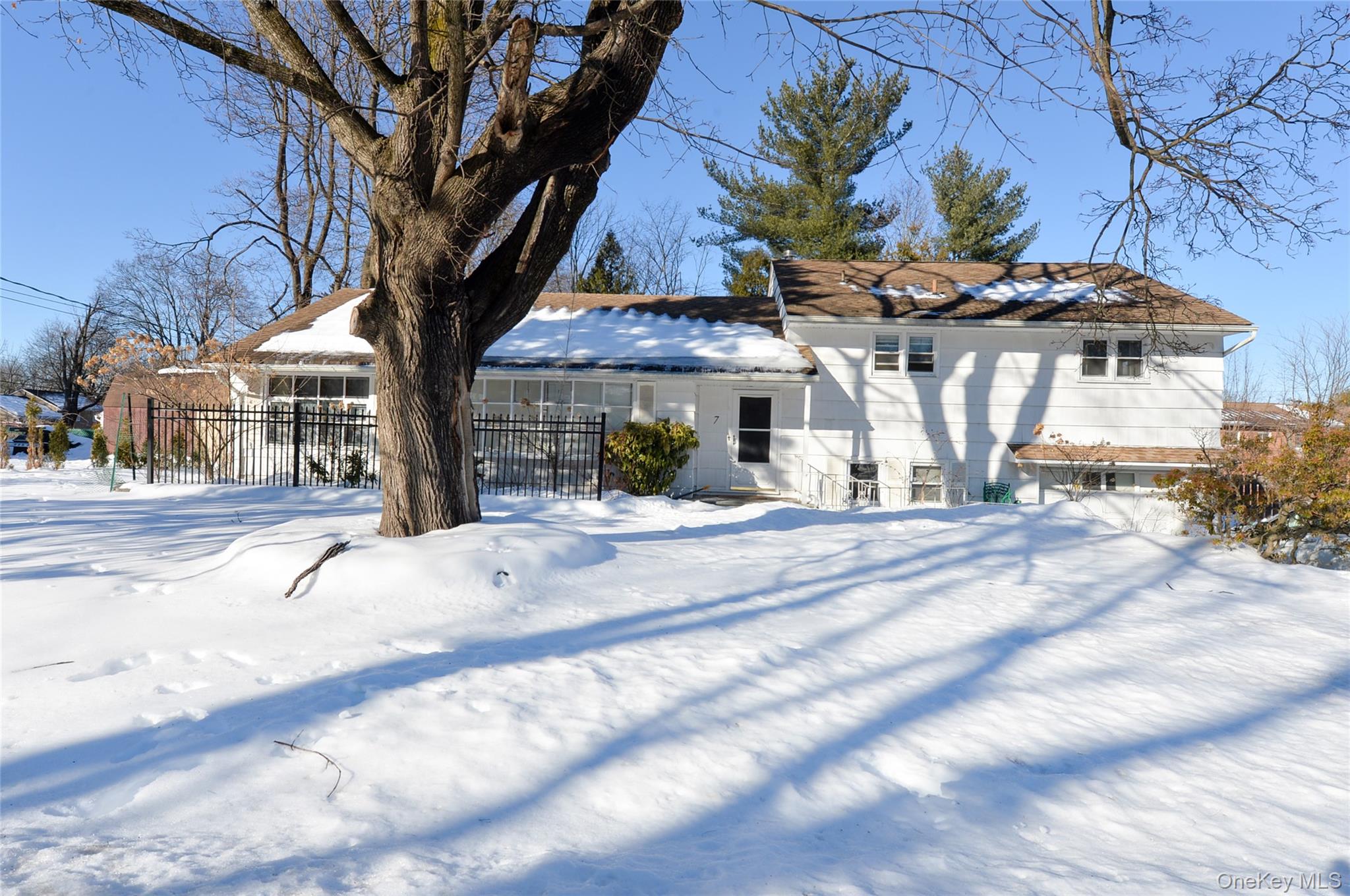 a view of a park with a tree