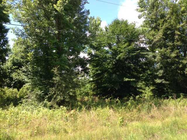 9 McManus Road Tickfaw, LA 70466 - Photo 1 of 1 Gallery Image 1