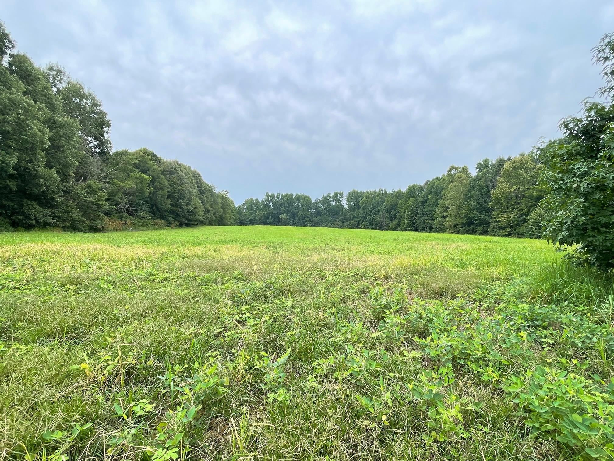 151 Concord Cades Road Milan, TN 38358 - Photo 4 of 17 Photo 4