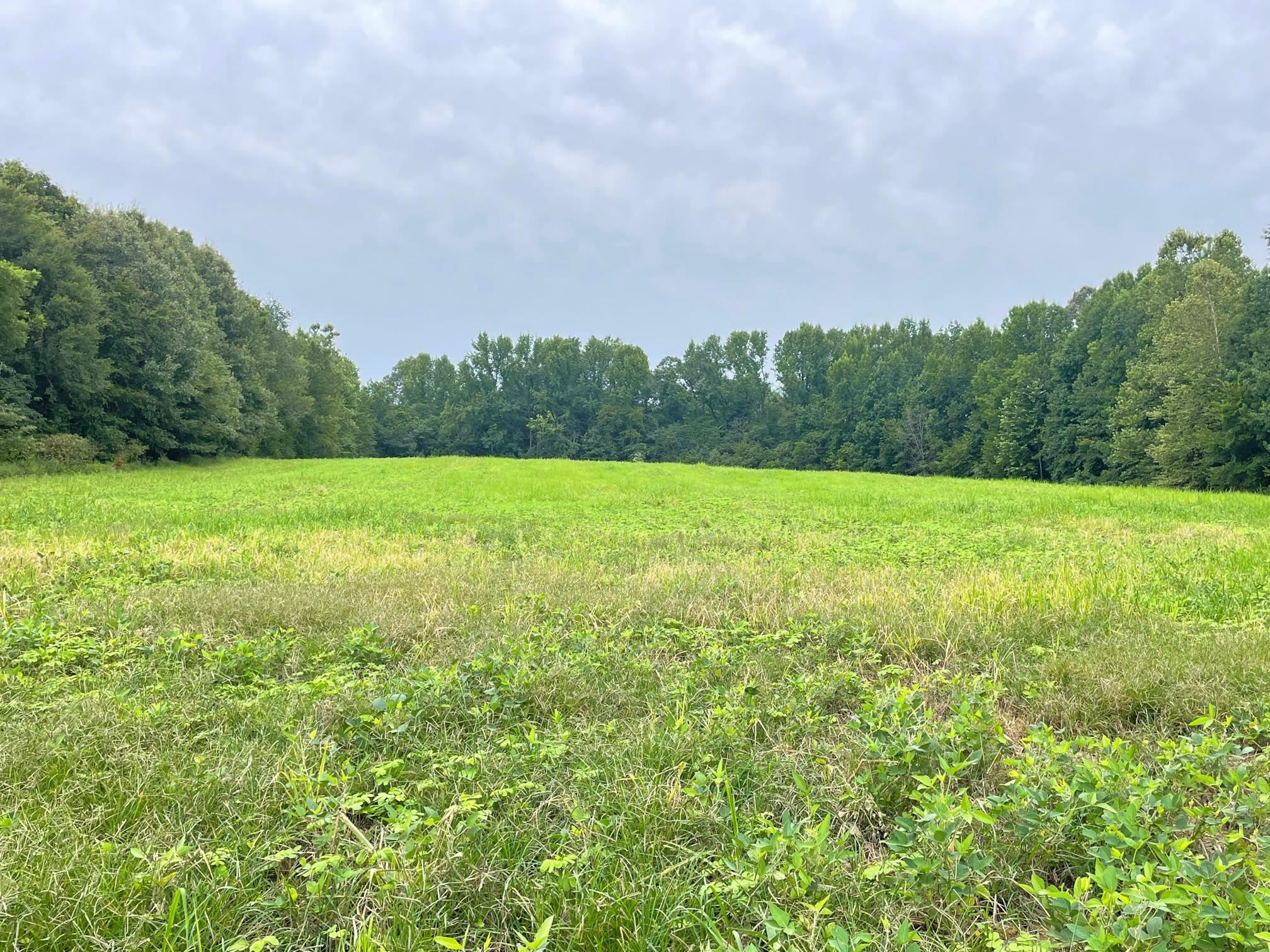 151 Concord Cades Road Milan, TN 38358 - Photo 5 of 17 Photo 5