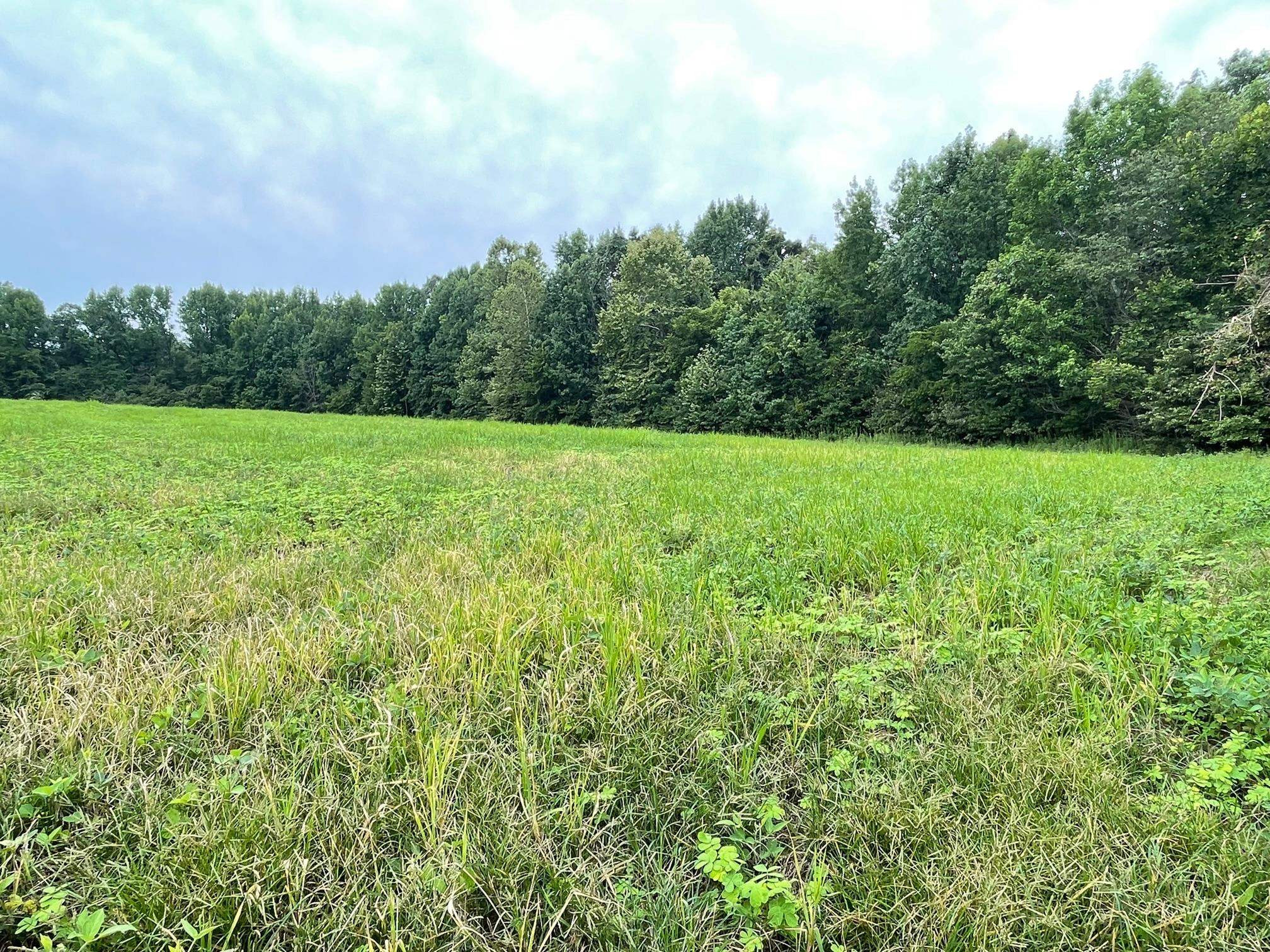 151 Concord Cades Road Milan, TN 38358 - Photo 7 of 17 Photo 7