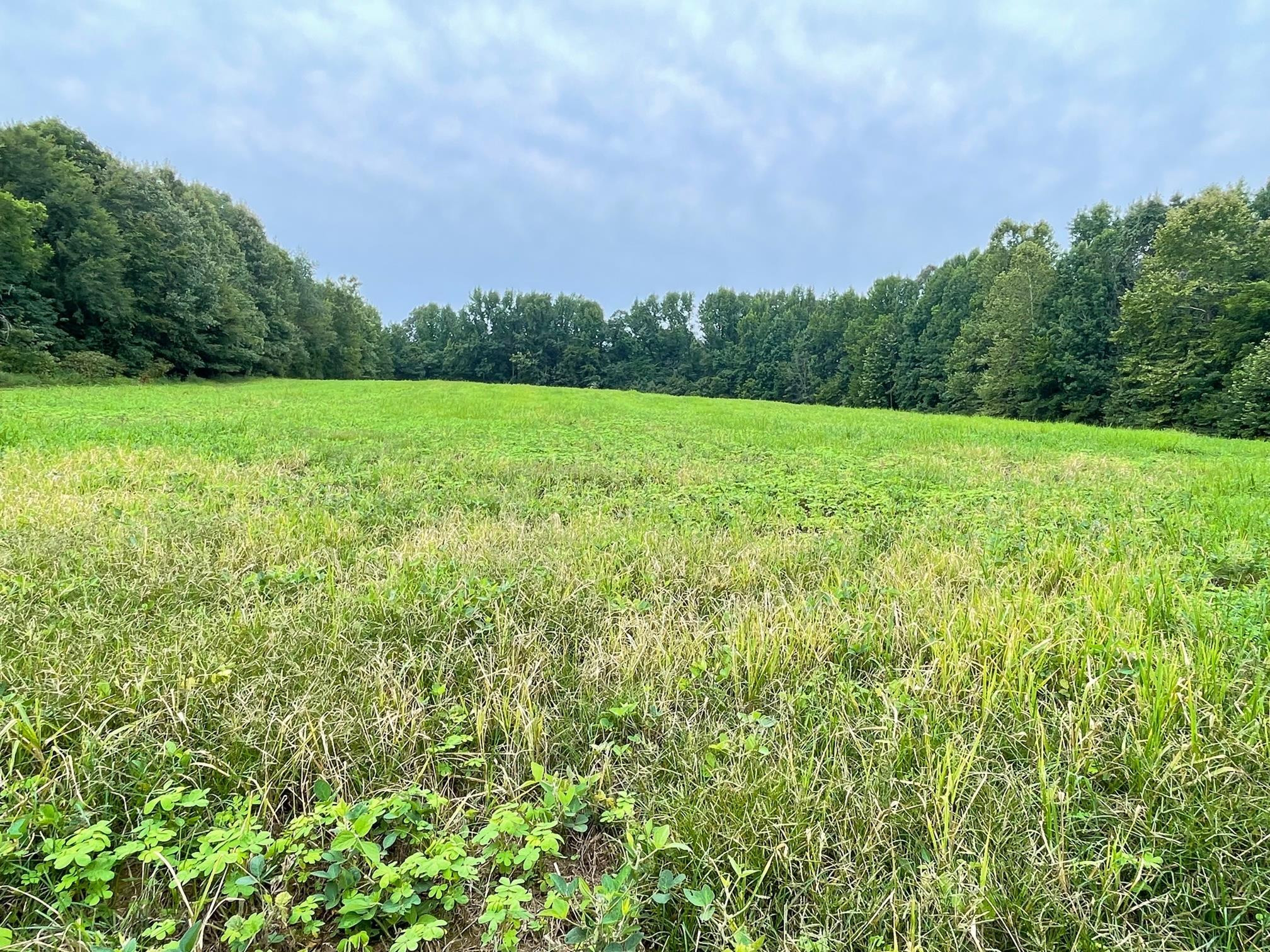 151 Concord Cades Road Milan, TN 38358 - Photo 8 of 17 Photo 8