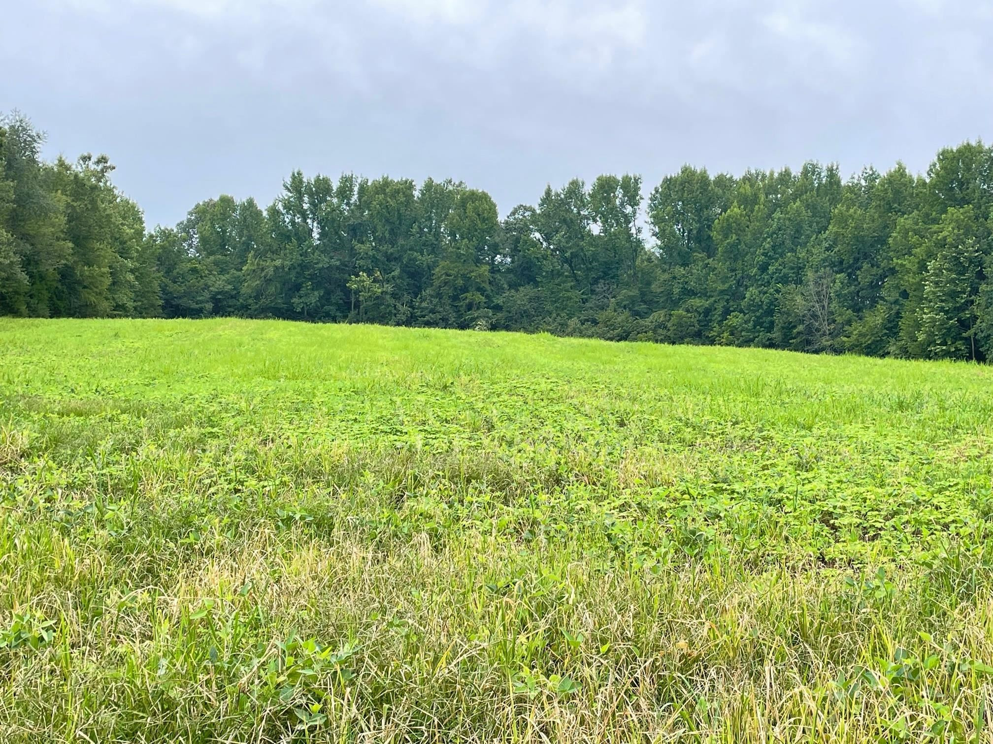 151 Concord Cades Road Milan, TN 38358 - Photo 9 of 17 Photo 9