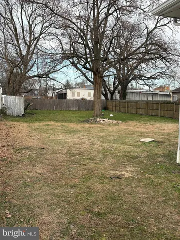 a view of a yard with a tree