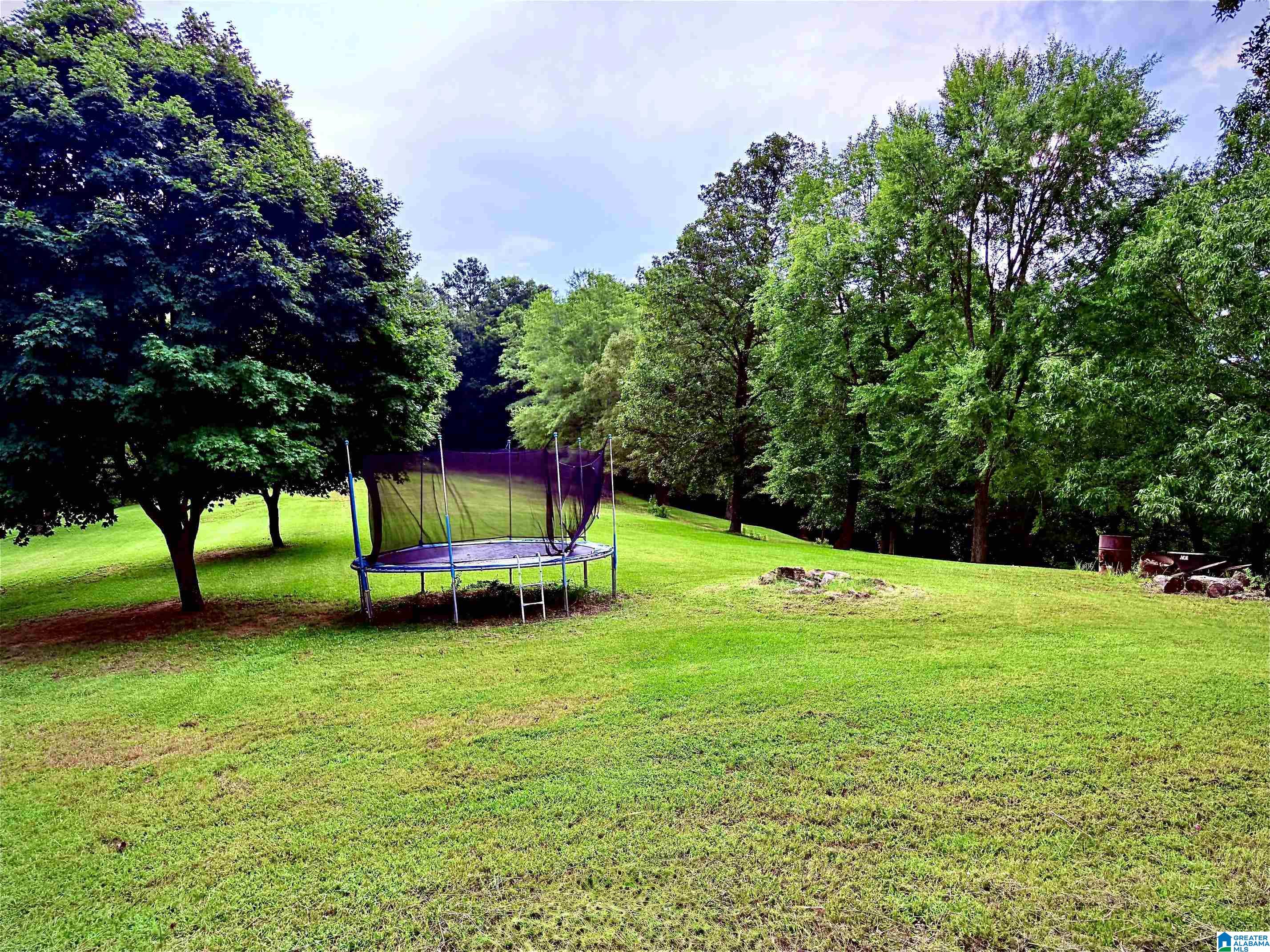 785 Shady Grove Road Piedmont, AL 36272 - Photo 64 of 70