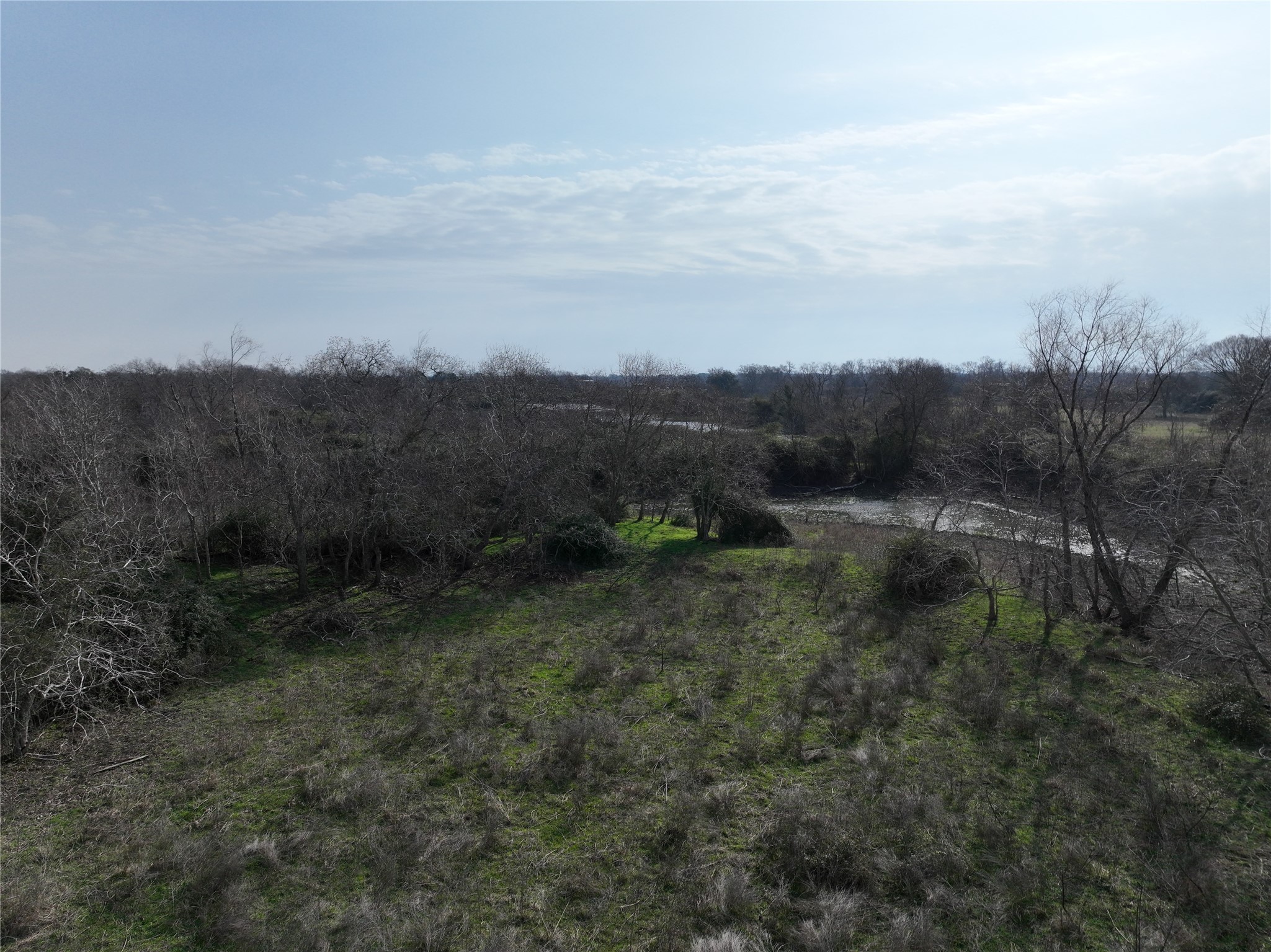 0 Schindler Road Alleyton, TX 78935 - Photo 36 of 39 Additional South woods with small ponds.