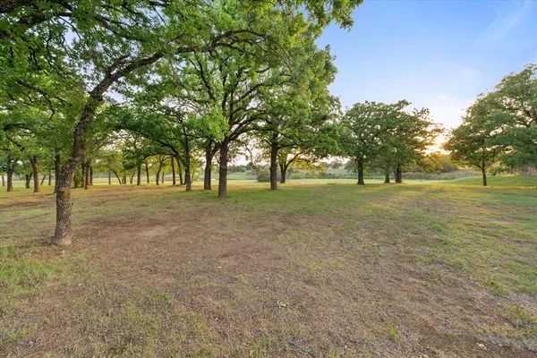 a view of ground with trees