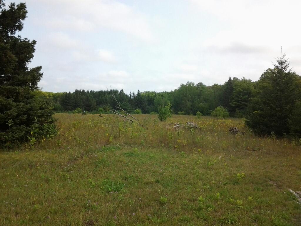 11817 South Hulbert Road Hulbert, MI 49748 - Photo 1 of 7 Gallery Image 1