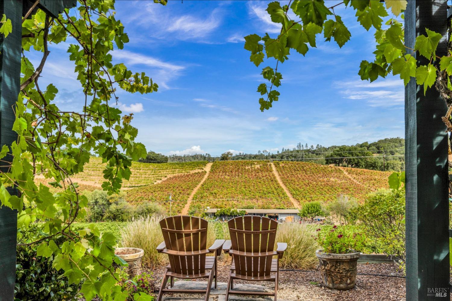 1389 Canyon Road Geyserville, CA 95441 - Photo 2 of 48 a view of a patio with table and chairs and a flower pot