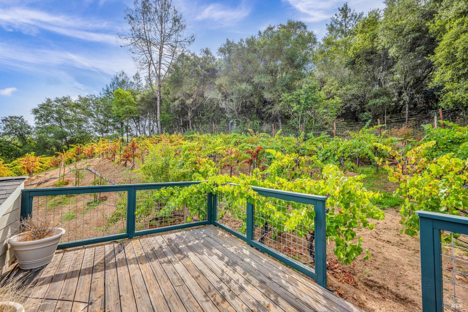 1389 Canyon Road Geyserville, CA 95441 - Photo 38 of 48 a view of a balcony with wooden floor and fence