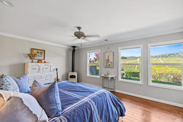 a view of a yard with plants and trees