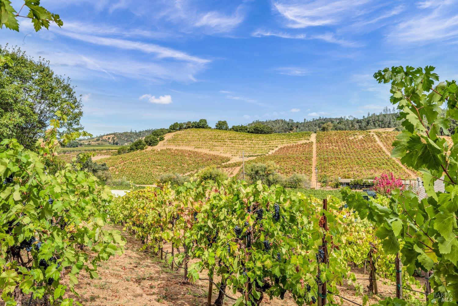 1389 Canyon Road Geyserville, CA 95441 - Photo 42 of 48 a view of an ocean