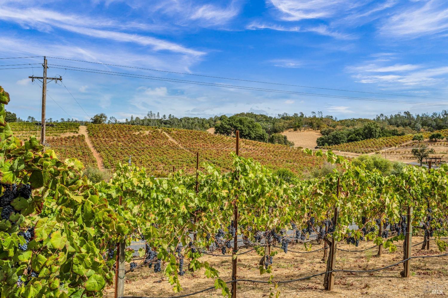 1389 Canyon Road Geyserville, CA 95441 - Photo 5 of 48 a view of an ocean