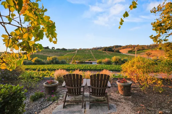 a front view of a house with a yard and potted plants