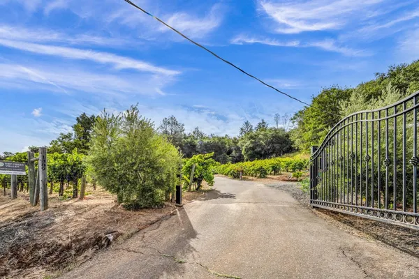 a view of a pathway of a house with a tree