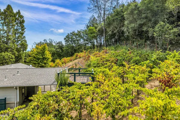 $1,695,000 | 1389 Canyon Road, Geyserville, CA 95441