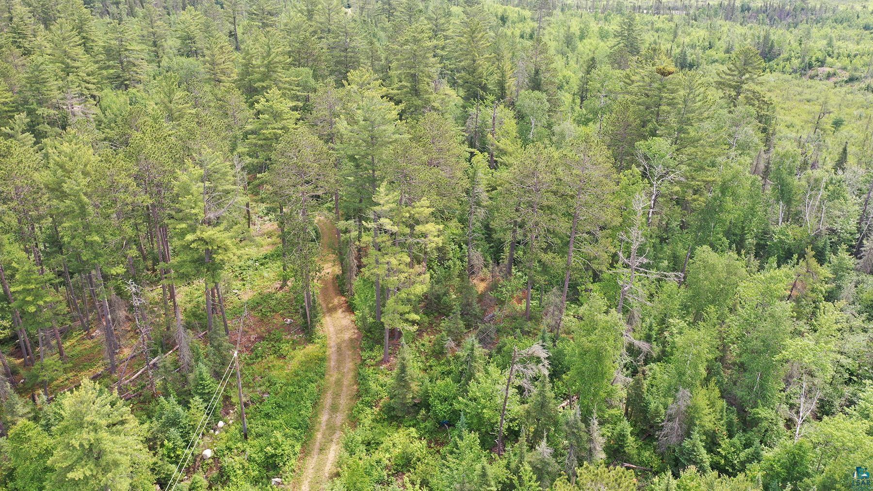 1648 Golden Rdg Trail Ely, MN 55731 - Photo 2 of 19