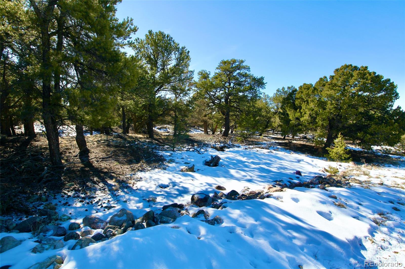 2058 Condor Overlook, Unit OVERLOOK Crestone, CO 81131 - Photo 11 of 24 a view of yard with wooden fence