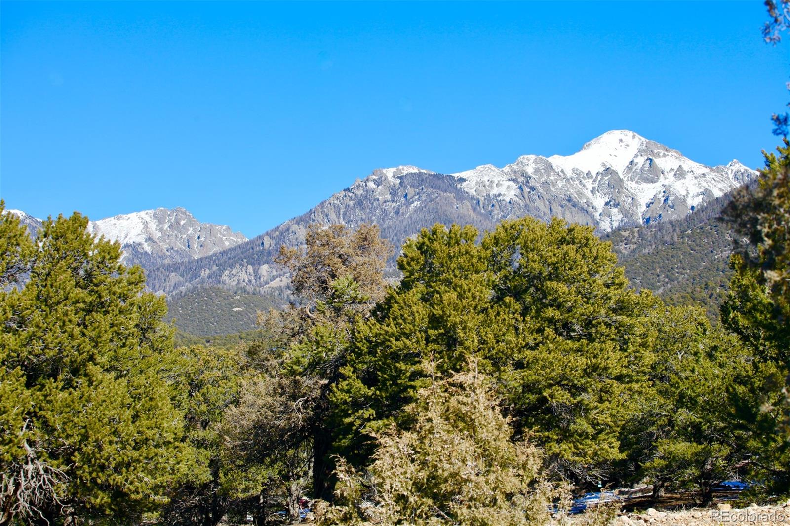 2058 Condor Overlook, Unit OVERLOOK Crestone, CO 81131 - Photo 14 of 24 a view of a large tree with plants and a lake view