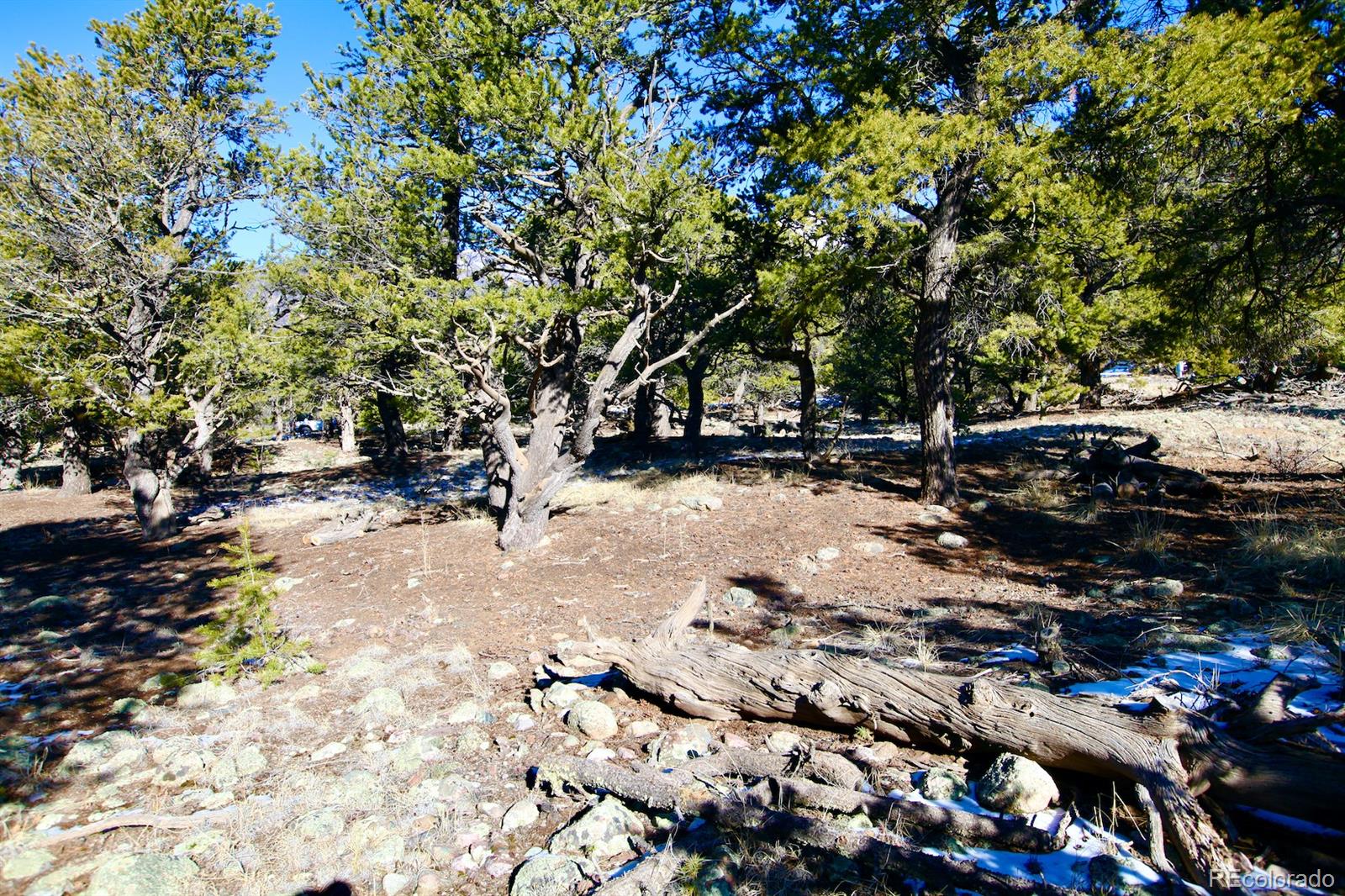 2058 Condor Overlook, Unit OVERLOOK Crestone, CO 81131 - Photo 20 of 24 a view of outdoor space with trees