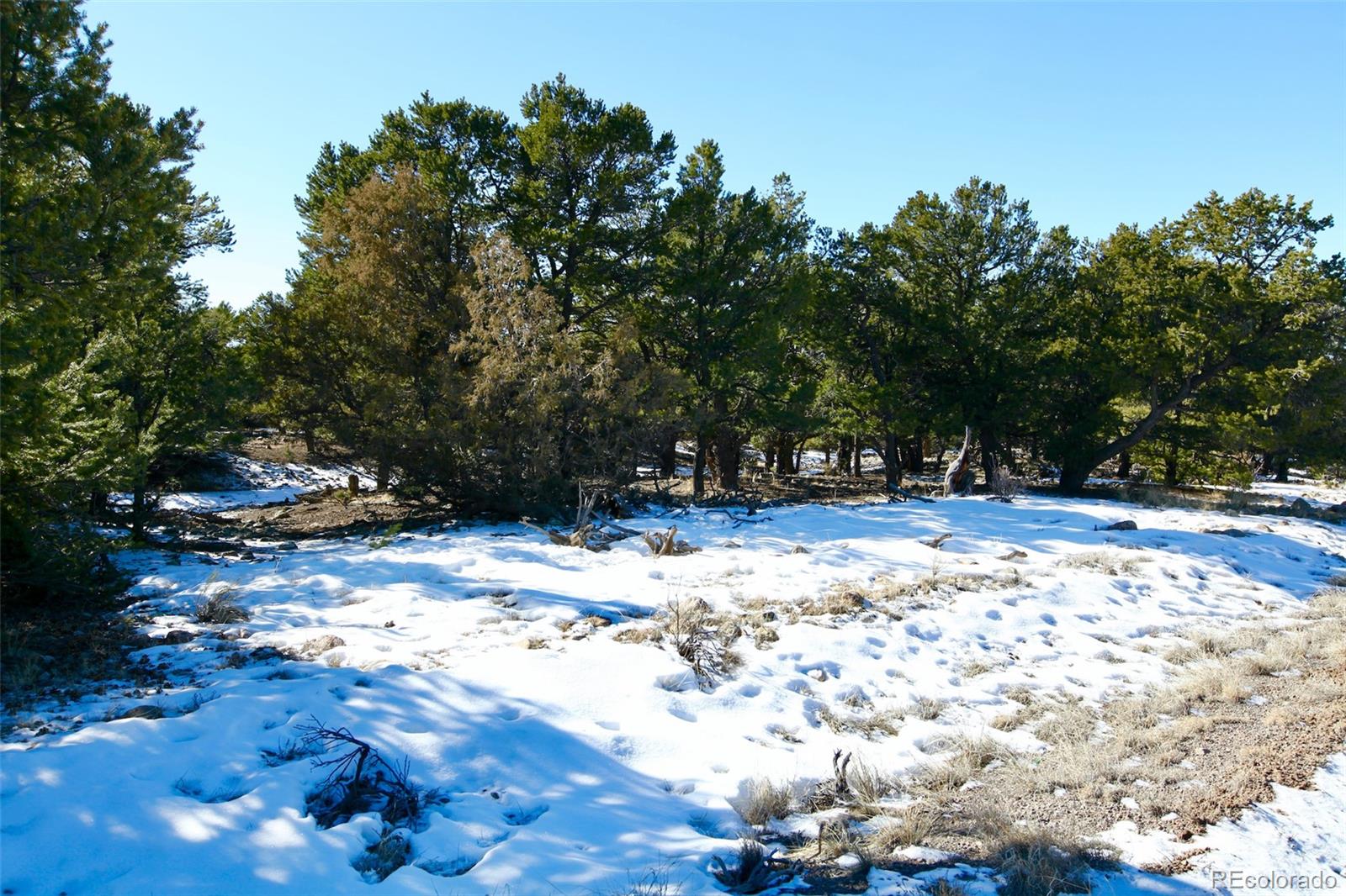 2058 Condor Overlook, Unit OVERLOOK Crestone, CO 81131 - Photo 21 of 24 a view of yard with trees